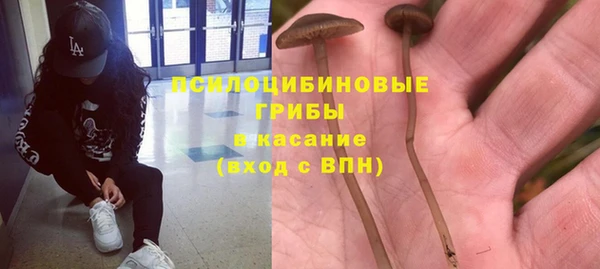 дживик Щучье